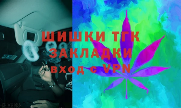 сатива Кинешма