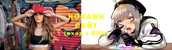 молекула духа Козельск