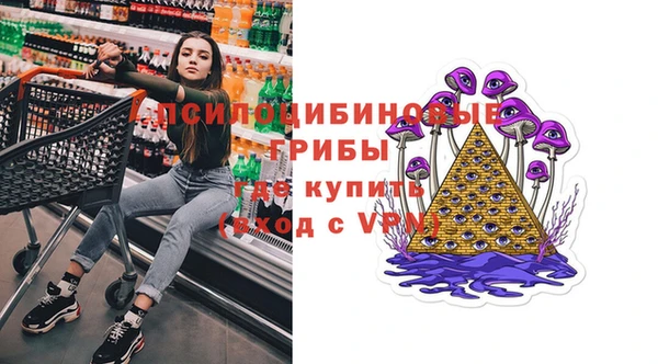 первитин Козловка