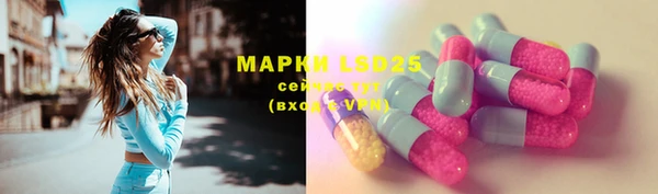 мдпв Касимов