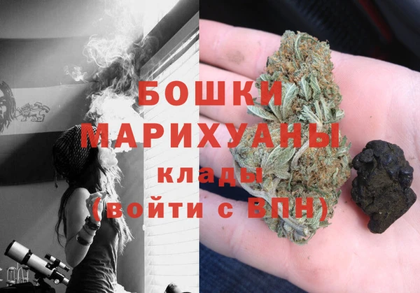 сатива Кинешма