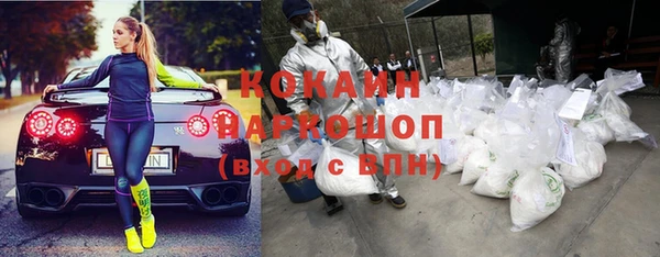 сатива Кинешма
