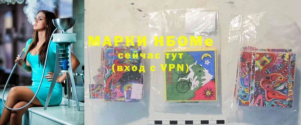 сатива Кинешма