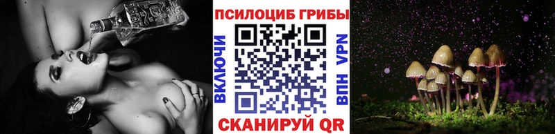 дарнет шоп  OMG онион  Галлюциногенные грибы мухоморы  Кировград 